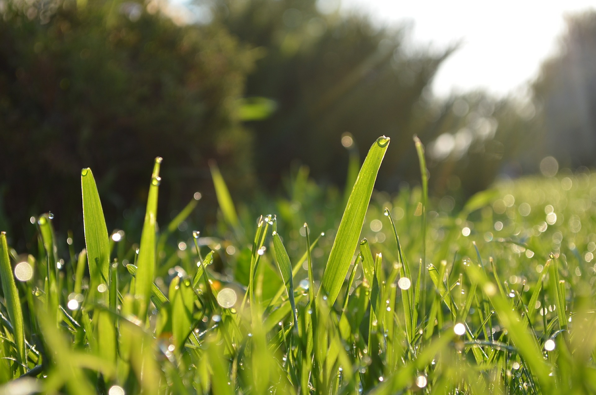 grass-364116_1920 寒暖差に気をつけるワケ